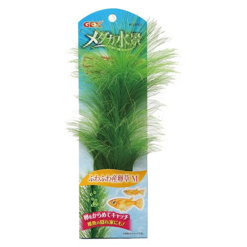 メダカ水景ふわふわ産卵草