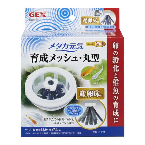 メダカ元気育成メッシュ丸型産卵床付