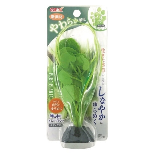 癒し水景ピュアプランツ チドメグサ