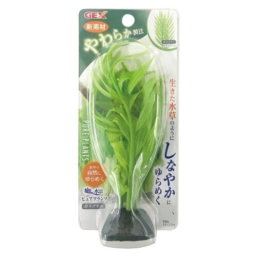 癒し水景ピュアプランツ ポリゴナム