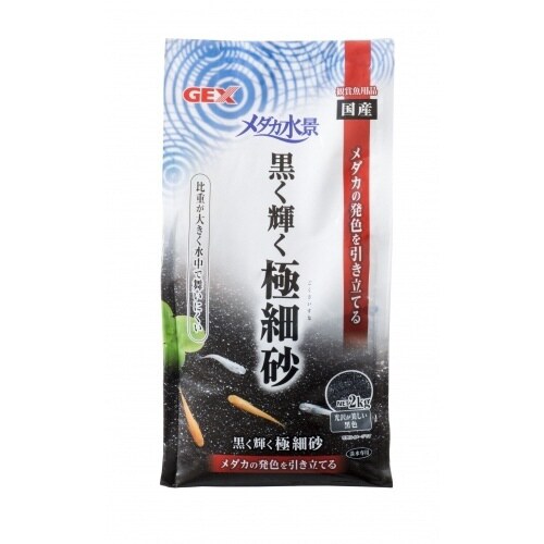 メダカ水景黒く輝く極細砂