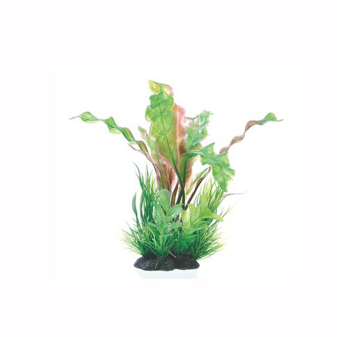 癒し水景MIXプランツアポノ