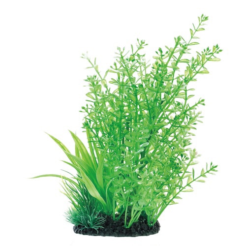 癒し水景MIXプランツパール