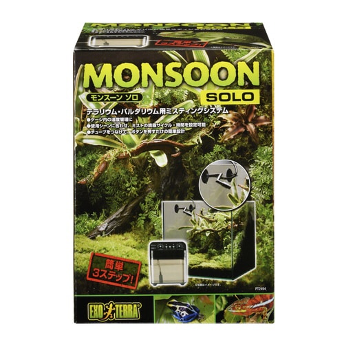 モンスーンソロ