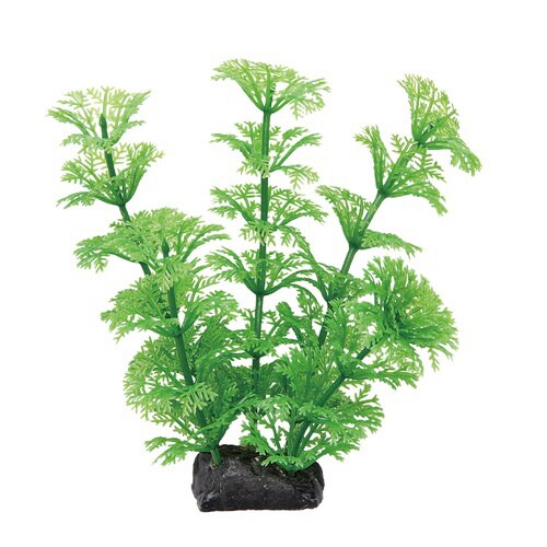 癒し水景 アンブリア