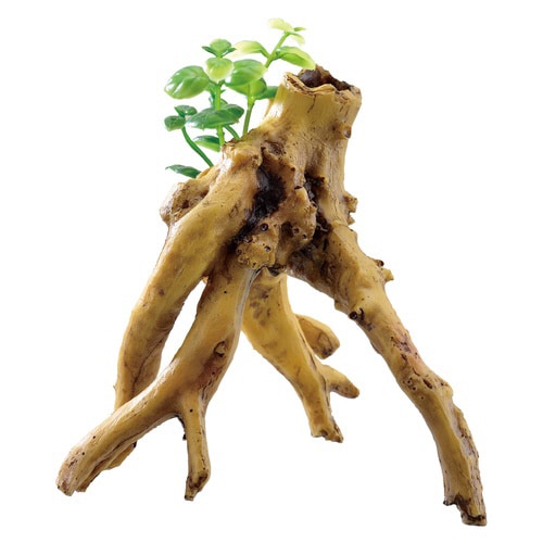 癒し水景 水草付き流木 ブランチ