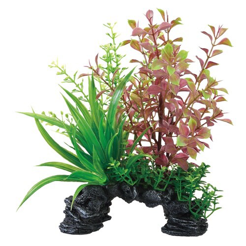 癒し水景 MIXプランツ ミニアーチ レ