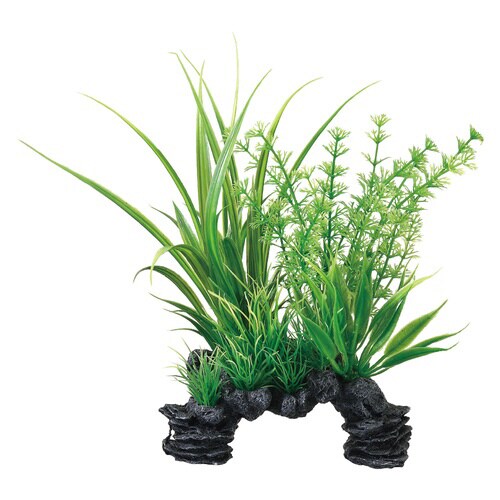 癒し水景 MIXプランツ ミニアーチ ミ