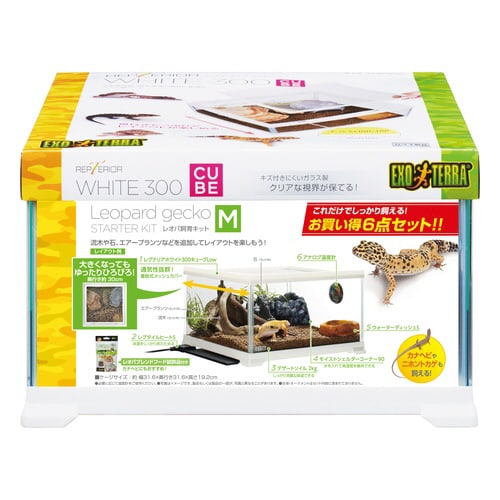 レオパ飼育キット