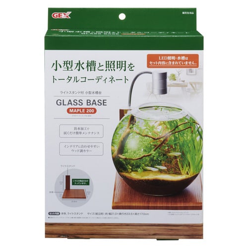 グラスベース メープル200