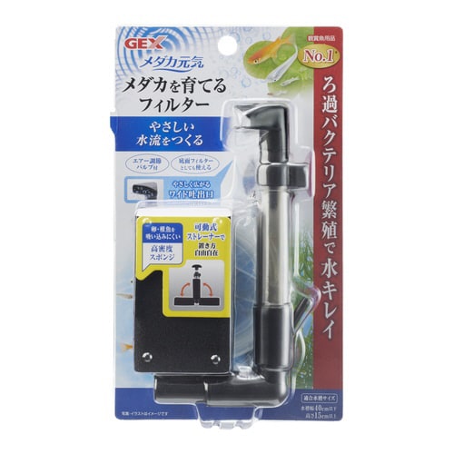 メダカ元気 メダカを育てるフィルター