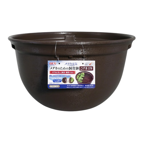 メダカ元気メダカのための飼育鉢こげ茶37