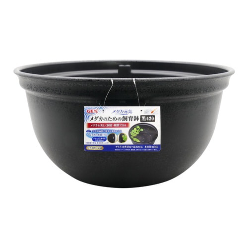 メダカ元気メダカのための飼育鉢黒420