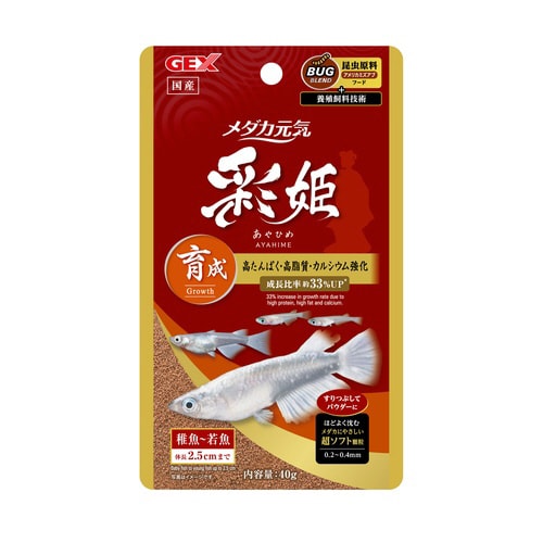メダカ元気 彩姫 成長用