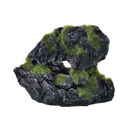 癒し水景 モスロック Cave