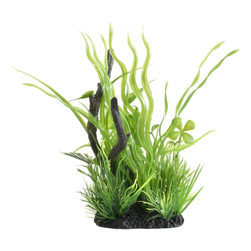 癒し水景 MIXプランツ ウッド バリス