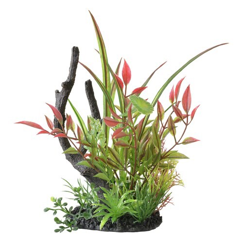 癒し水景 MIXプランツ ウッド ルドウ