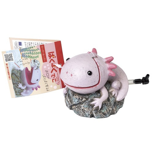 ぱくぱくでこウーパールーパー