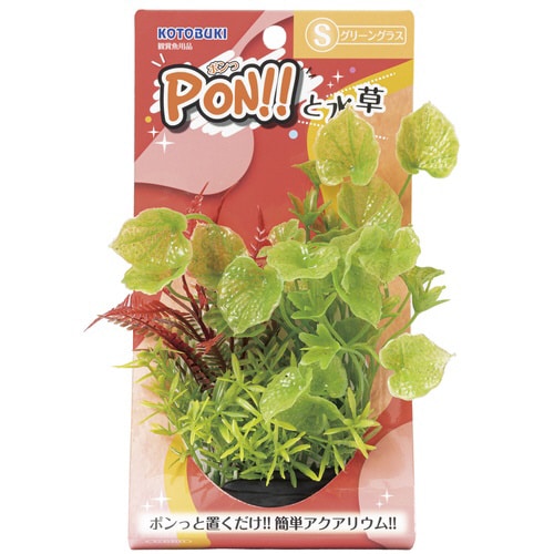 PON‐Sグリーングラス