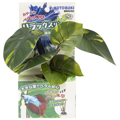 ベタの水草スタンドタイプ