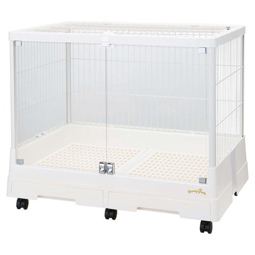 クリアライフ 80W