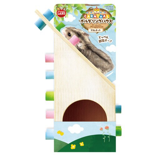 ハムスターカーニバル ボルダリングハウス