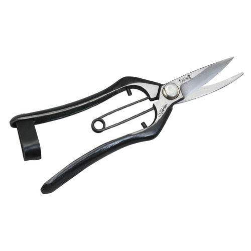 鍛造芽切型剪定