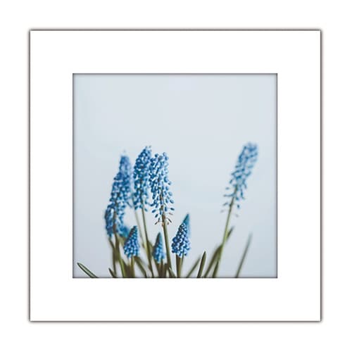 アートトワレ 青い花