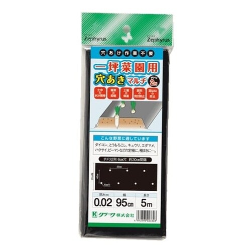 穴あきマルチチドリ