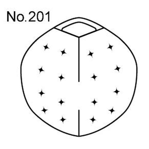 フラワーバスケット