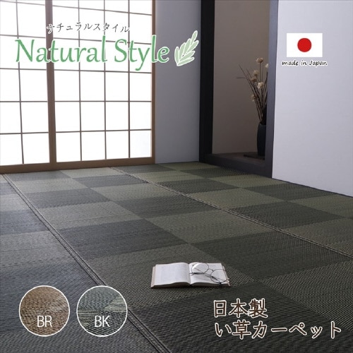 ノア BR 江戸間2畳