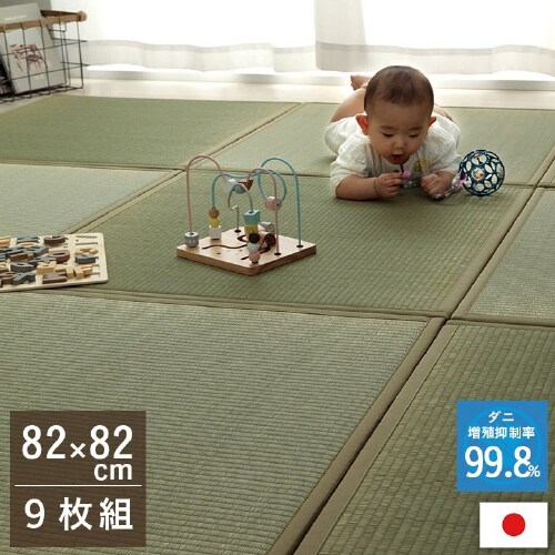 滅ダニ − 82×82×1.8cm 9P