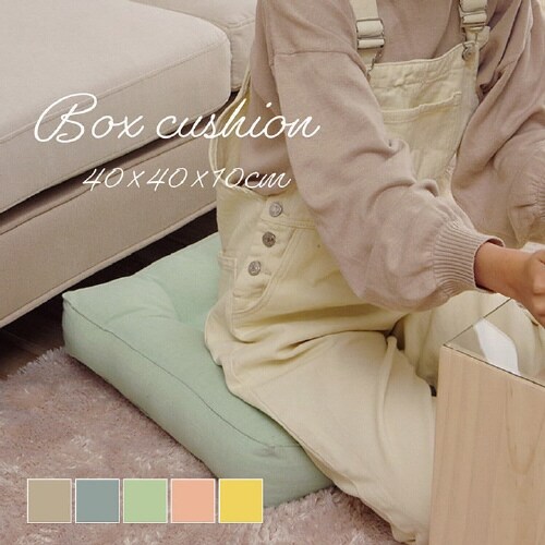 クララ YE 40×40cm