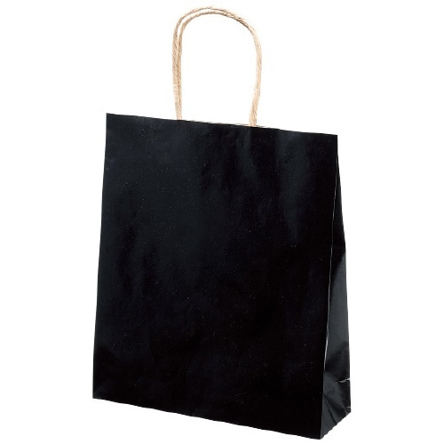 紙手提げ袋 ブラック 小(200枚入)