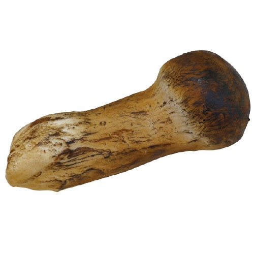 食品サンプル 松茸(小)