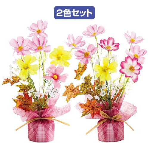 コスモスラッピングセット