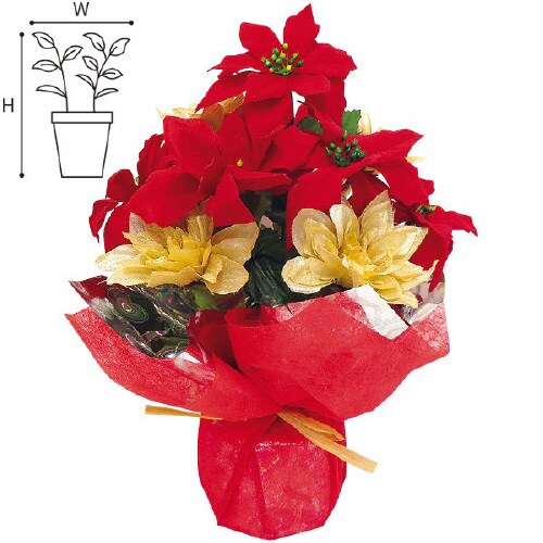 ポインセチアアレンジラッピング