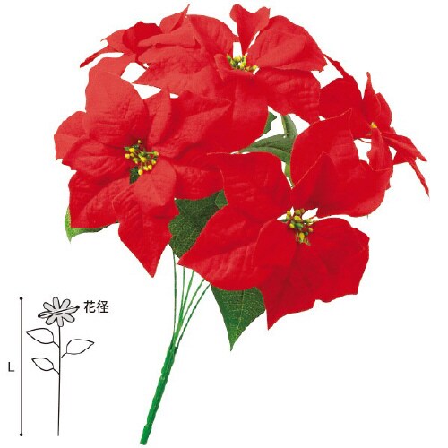 ベルベットポインセチアブッシュ