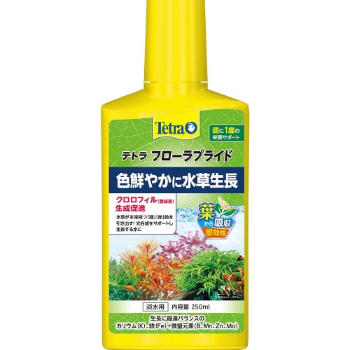 T134テトラフローラプライド