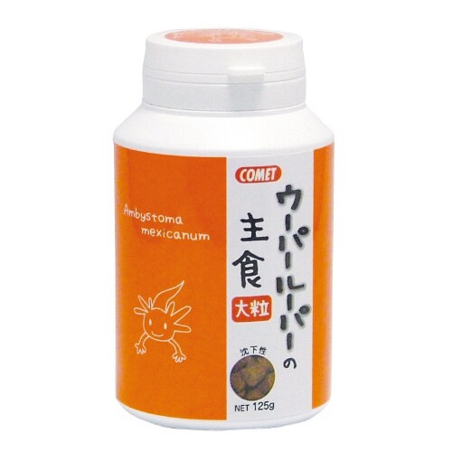 コメットウーパールーパーの主食大粒