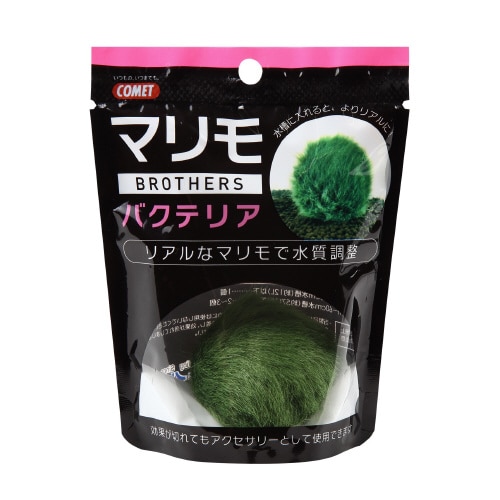 コメット マリモブラザーズ バクテリアマ