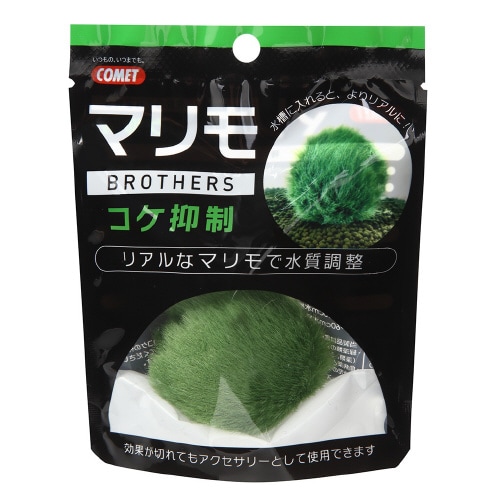 コメット マリモブラザーズ コケ抑制マリ