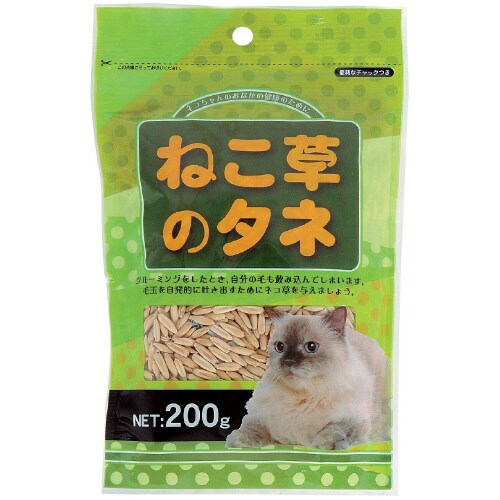 ねこ草の種 スタンドパック×3