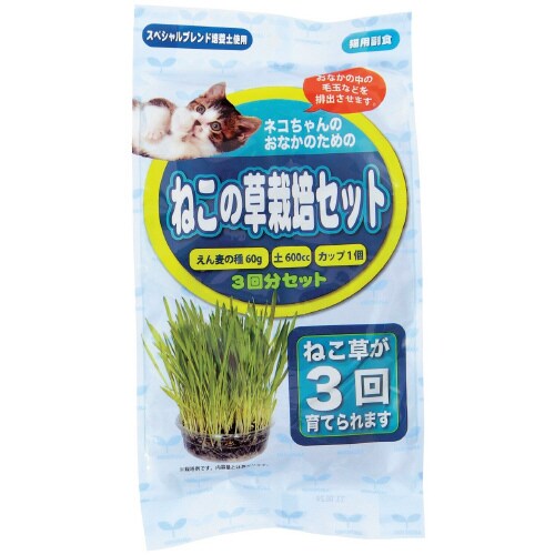 ねこの草栽培セット