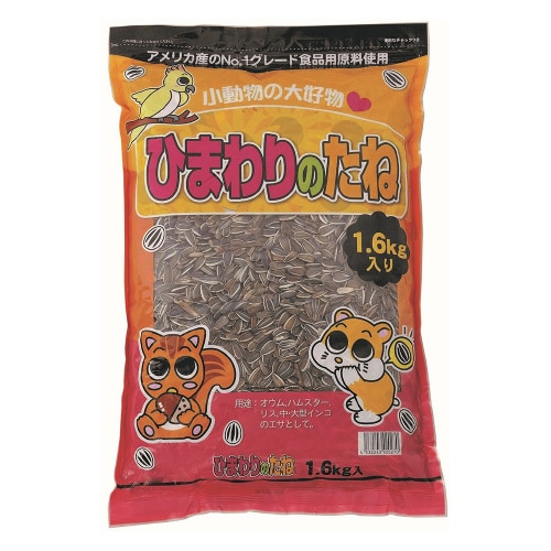 ひまわりのたね