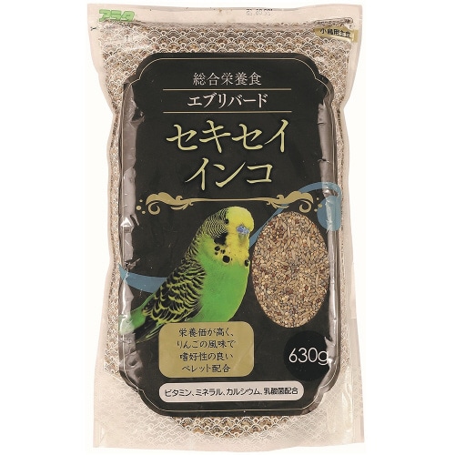 エブリバード セキセイインコ×2