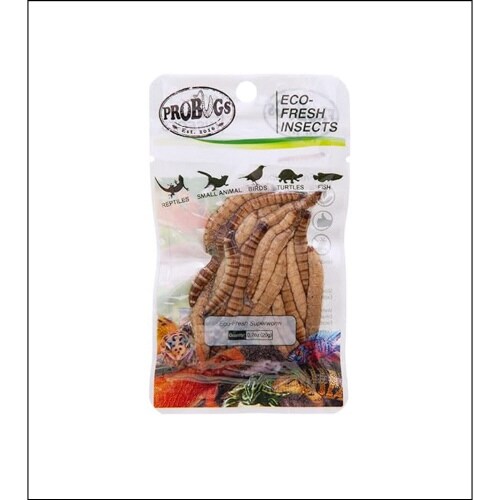 スーパーワーム