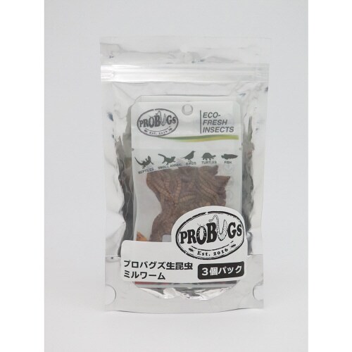 ミルワーム
