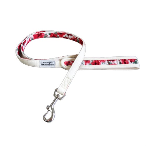 ONAMAEソフティリード