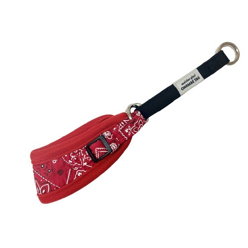 はじめてのしつけ首輪